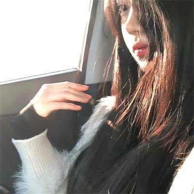 救援狗 高清封面