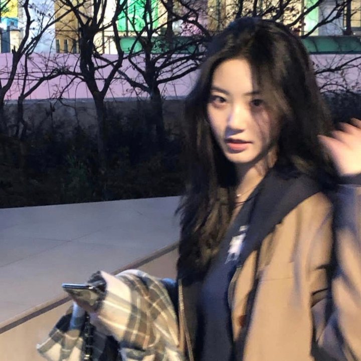 金刚斗恐龙 高清封面