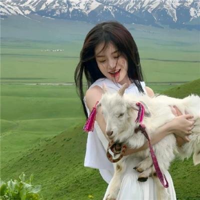 懵懵哒爱情 高清封面